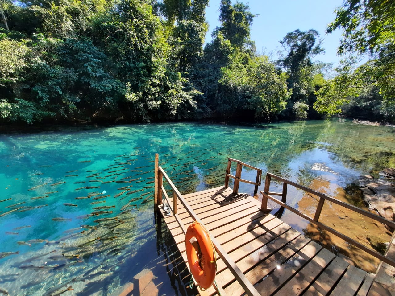 Recanto Ecológico Rio da Prata está aberto para visitação turística