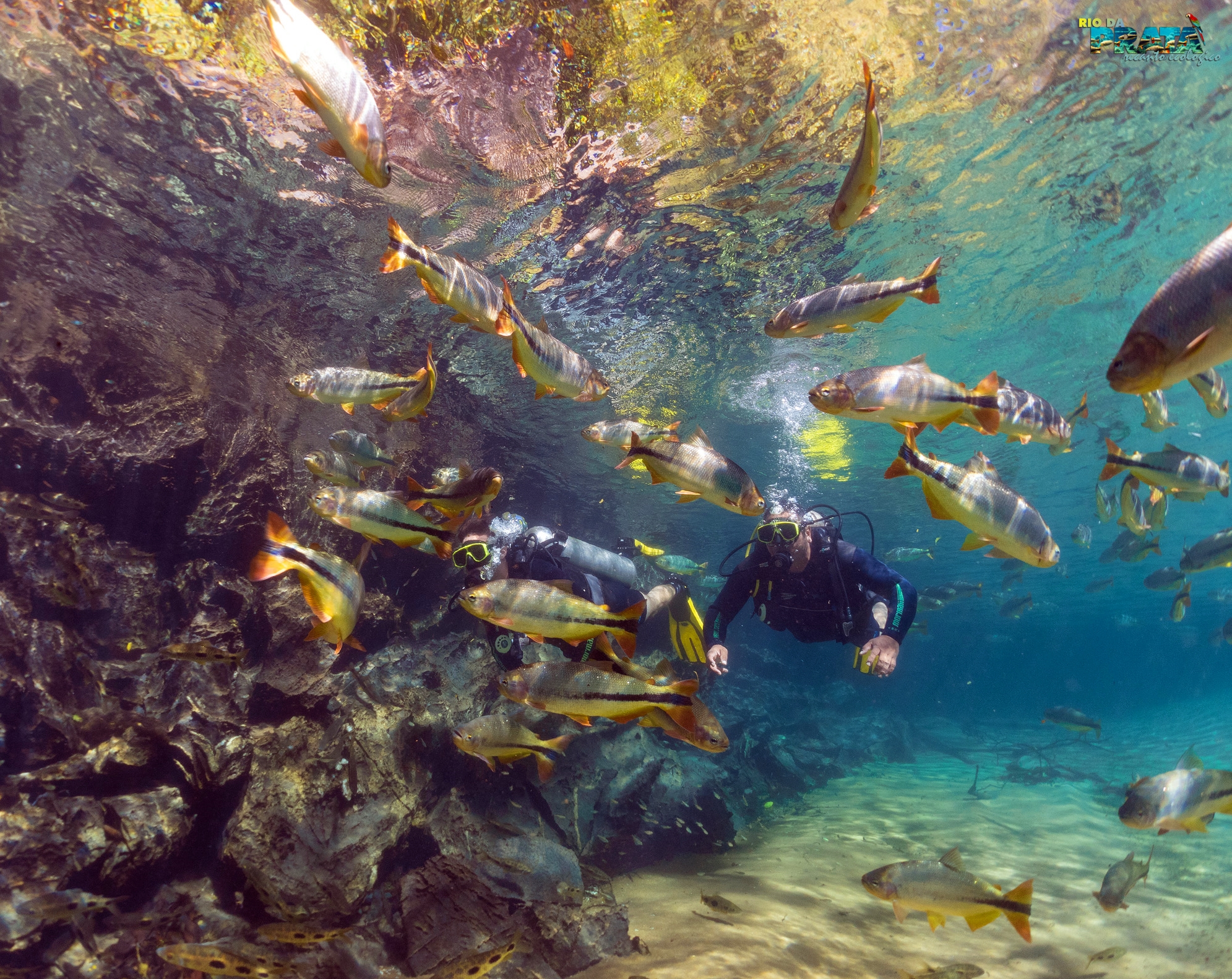 Descubra 5 razões irresistíveis para mergulhar no Recanto Ecológico Rio da Prata