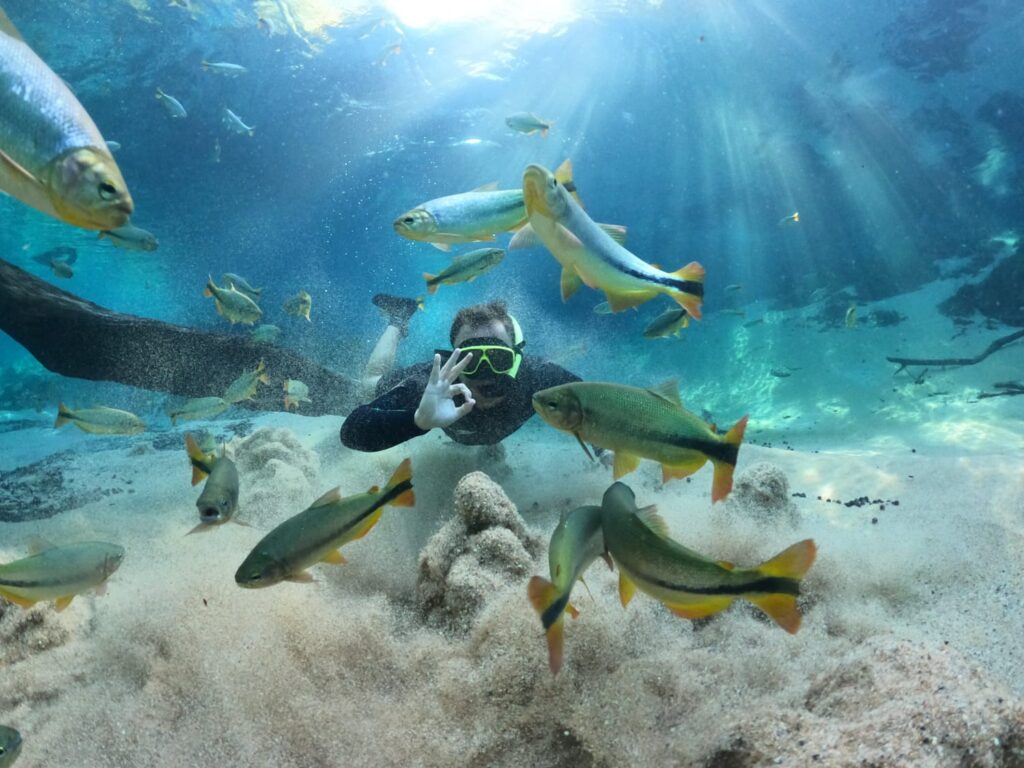 Homem flutua nas águas cristalinas e repleta de peixes do Recanto Ecológico Rio da Prata