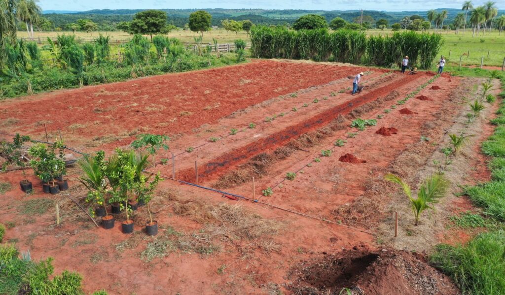 Início da área da agrofloresta no Recanto Ecológico Rio da Prata