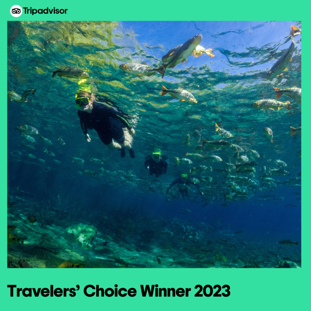 Prêmio Travelers Choice 2023 Recanto Ecológico Rio da Prata