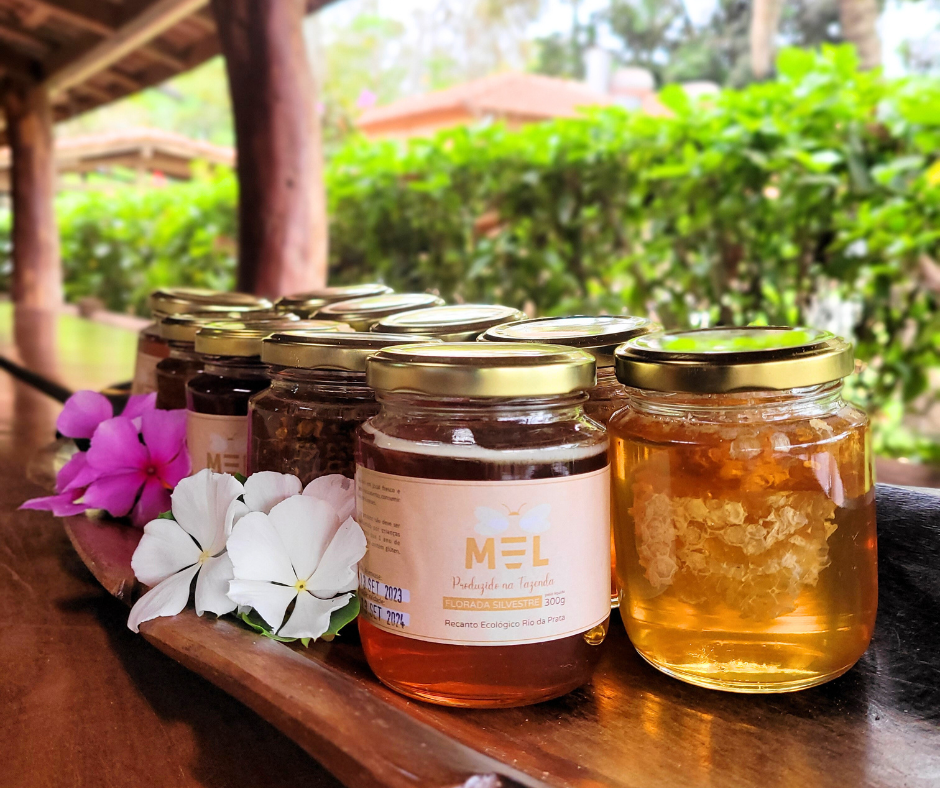Doce Colheita de mel in natura do Recanto Ecológico Rio da Prata