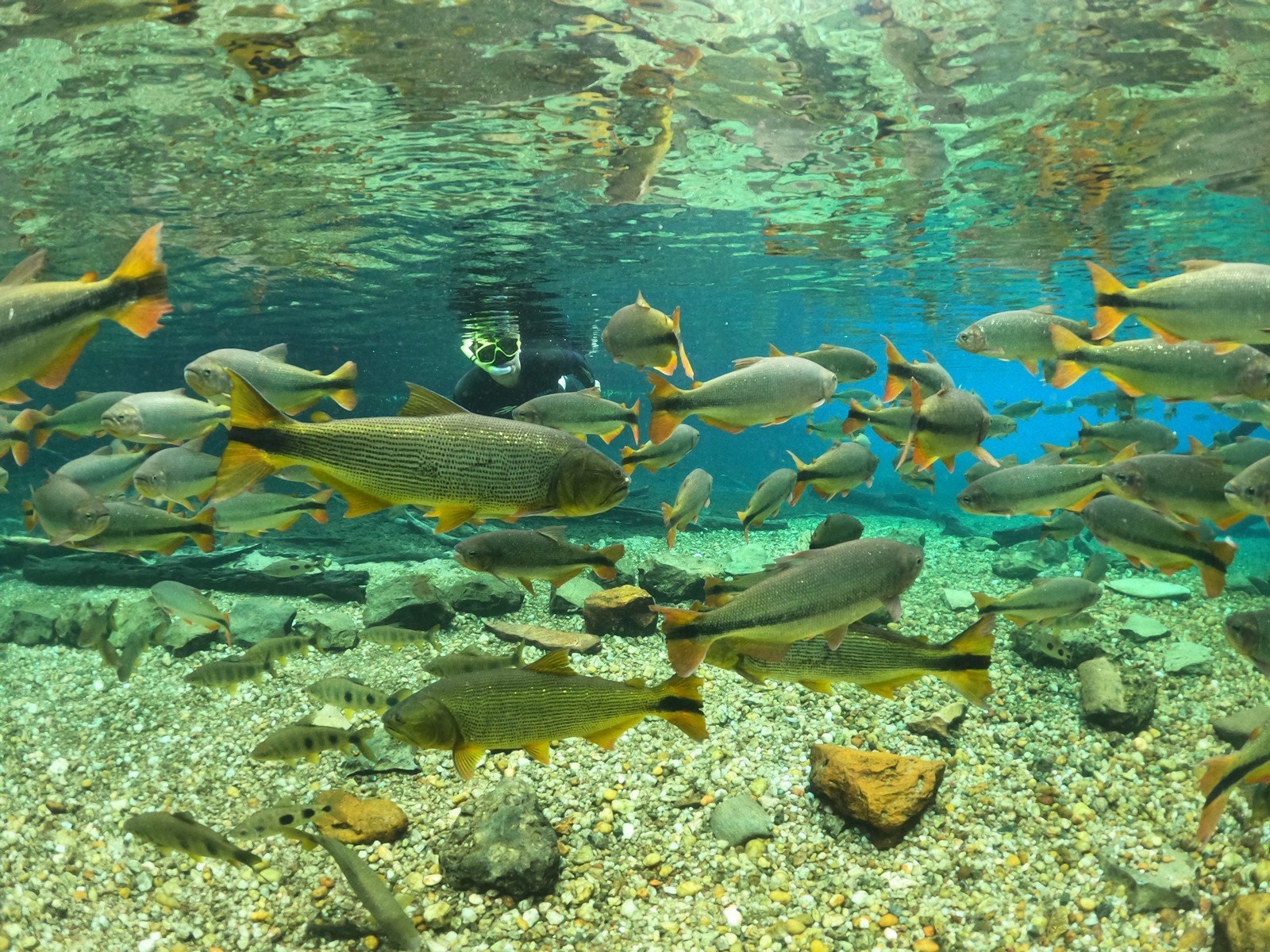 Flutuação no Recanto Ecológico Rio da Prata é finalista do Prêmio O Melhor do Turismo Brasileiro