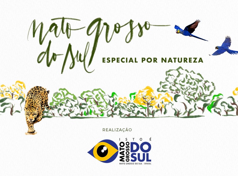 Grupo Rio da Prata conquista premiações no evento “Mato Grosso do Sul: Especial por Natureza”