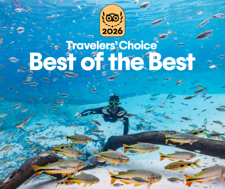 Recanto Ecológico Rio da Prata conquista prêmio Best of the Best 2026 do TripAdvisor