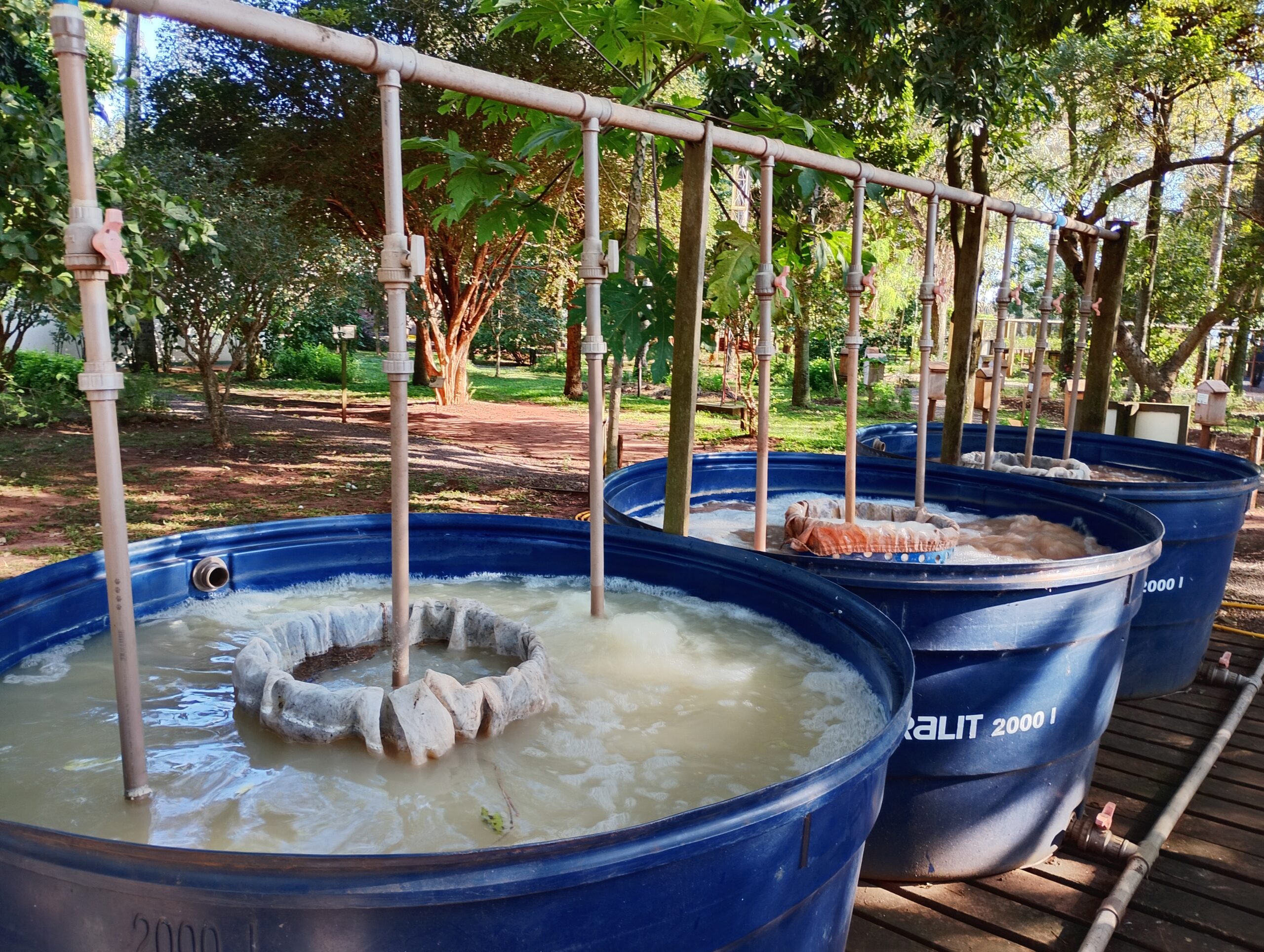 Fábrica de Chá de Composto é reativada no Recanto Ecológico Rio da Prata
