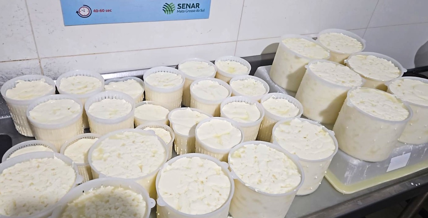 Recanto Ecológico Rio da Prata sedia capacitação em queijaria artesanal